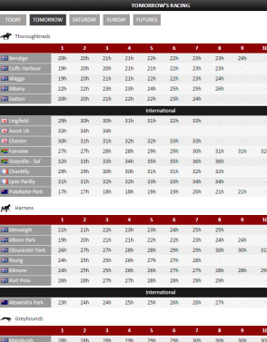 Mad Bookie racing markets interface