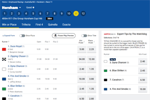 Sportsbet racing interface