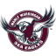 Sea Eagles