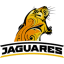 Jaguares